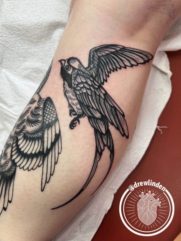 Drew Linden: Tattoo Artist | Anatomy Tattoo | NE Portland