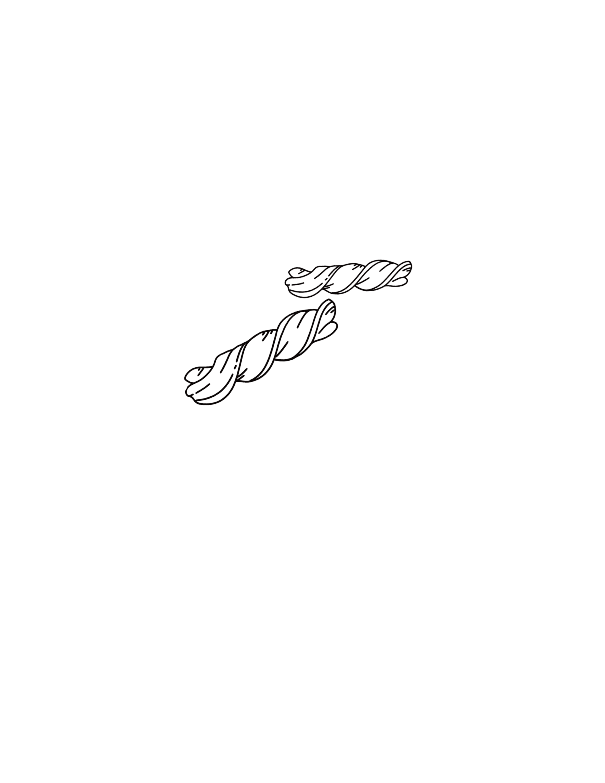 Fusillini Pasta Noodle