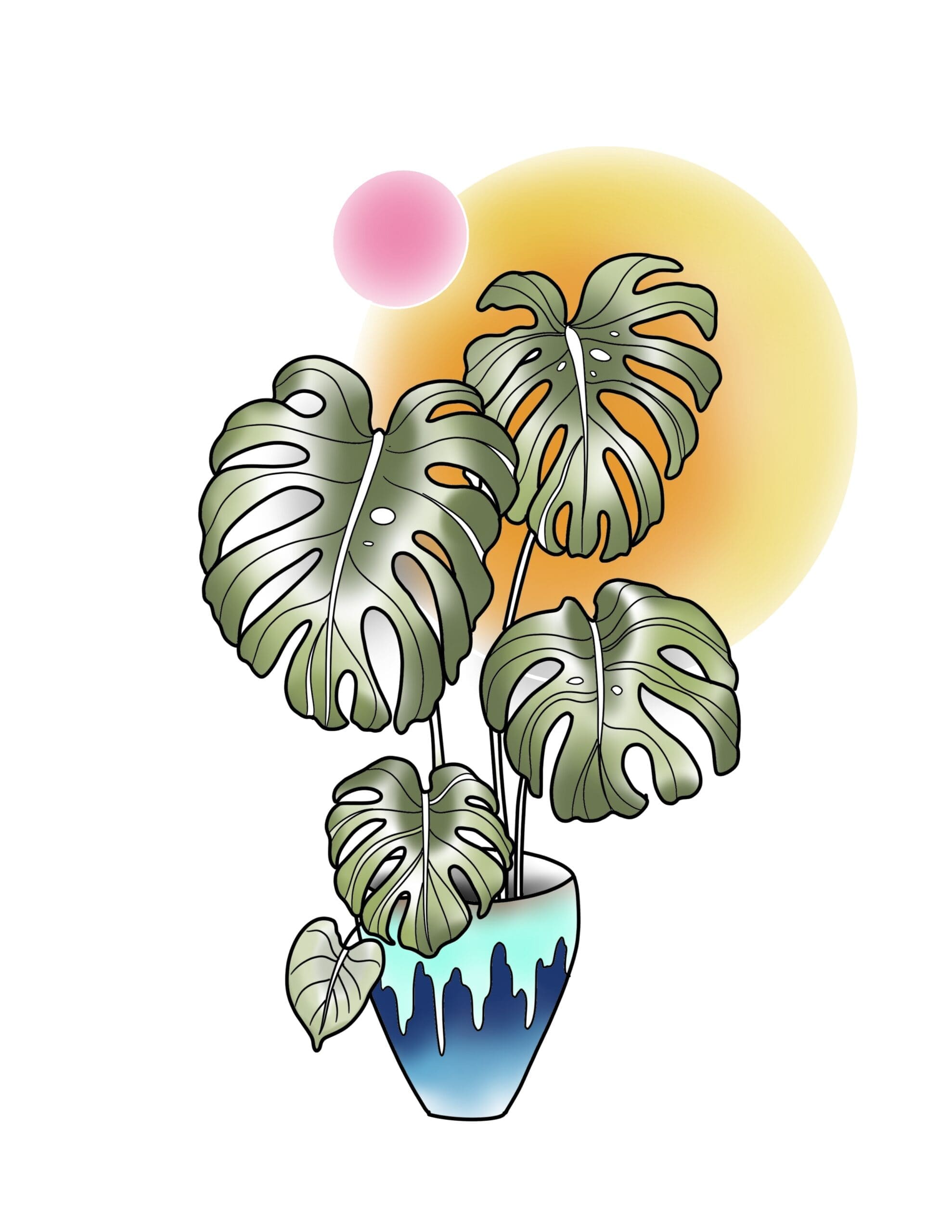 Potted Monstera