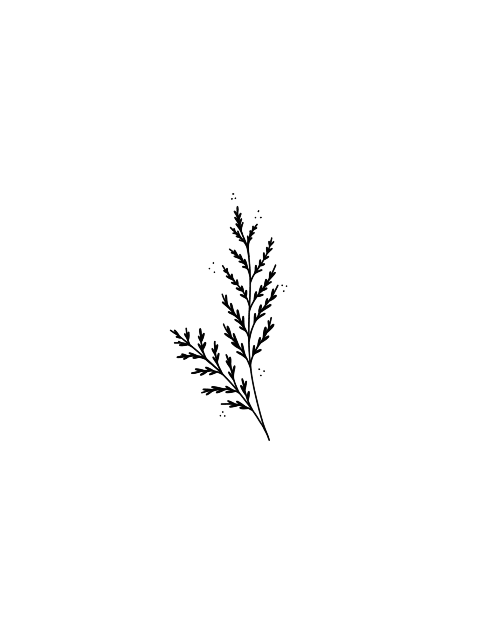 Simple Decorative Fern