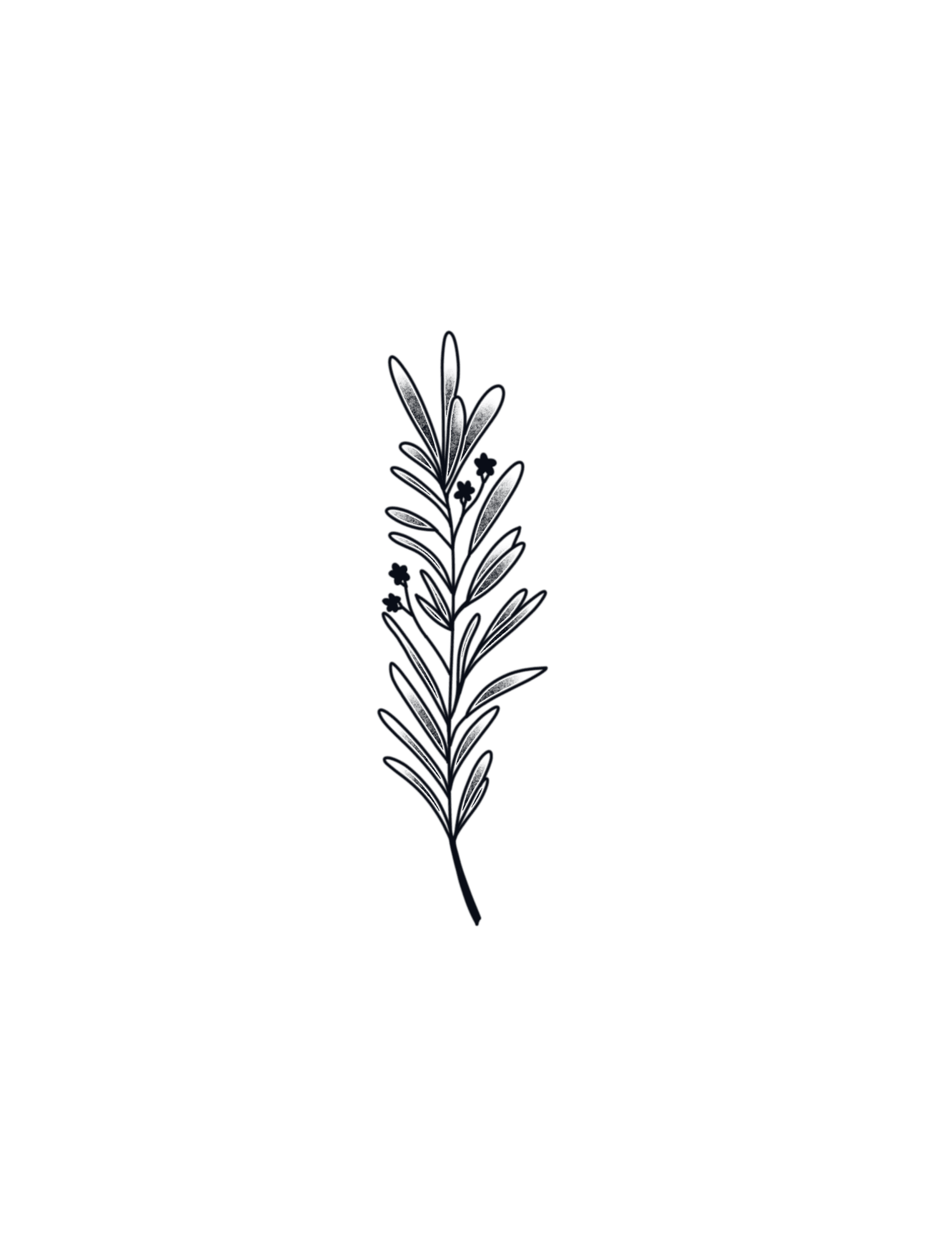Simple Rosemary Sprig
