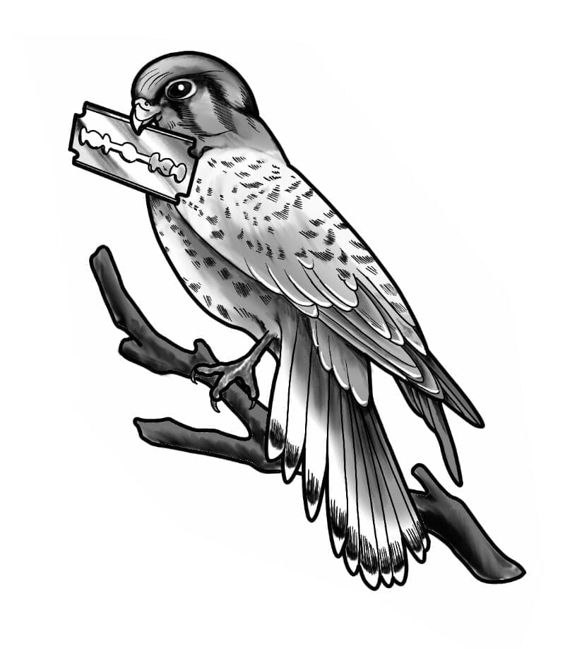 Tuff Bird