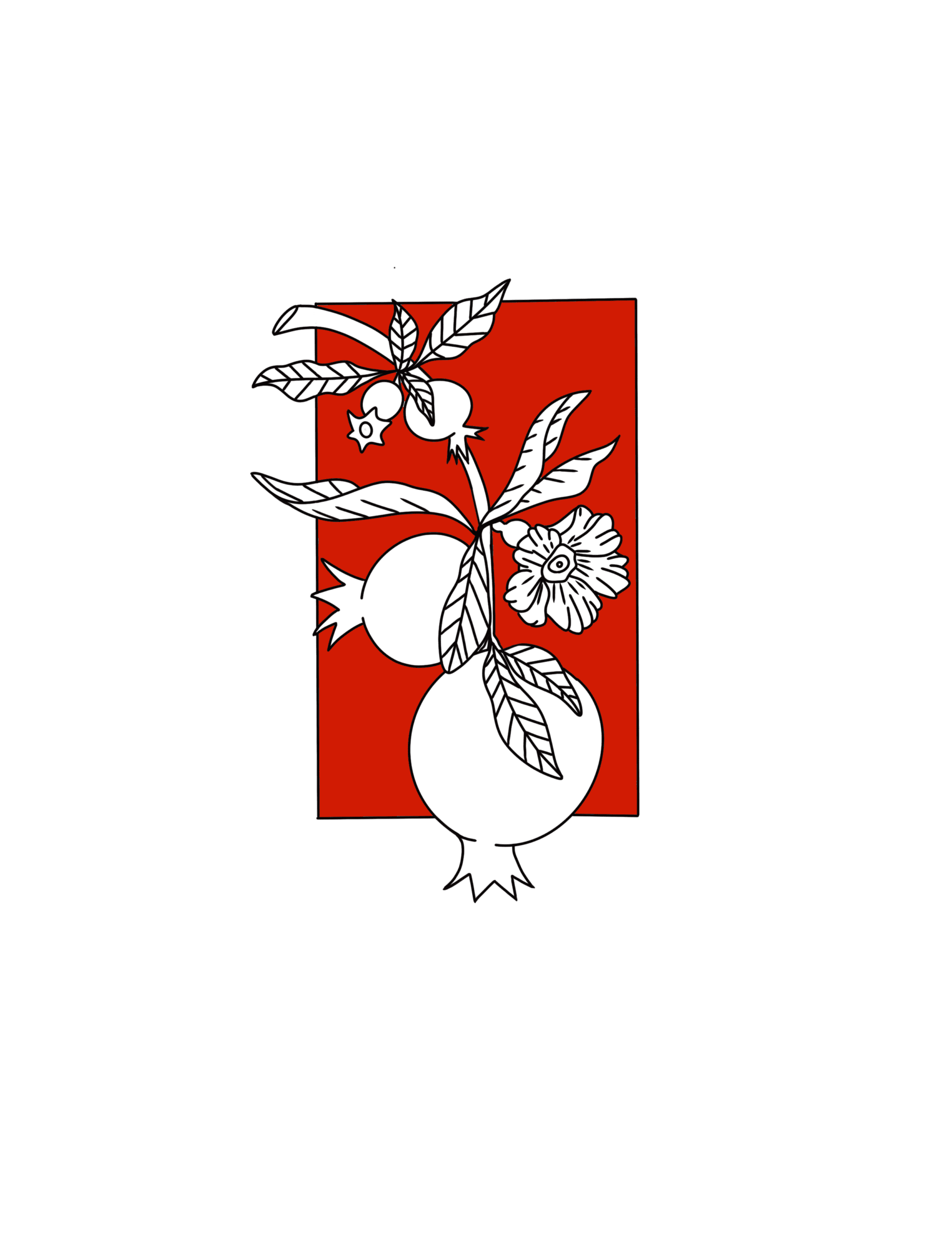 Blooming Pomegranate With Red flash tattoo design by Lindsay Swing at Anatomy Tattoo in Portland, Oregon