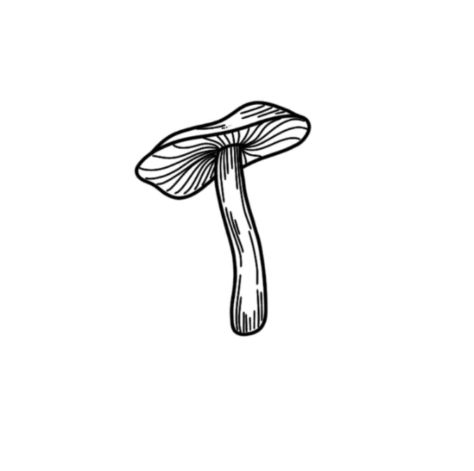 Broadgill Mushroom