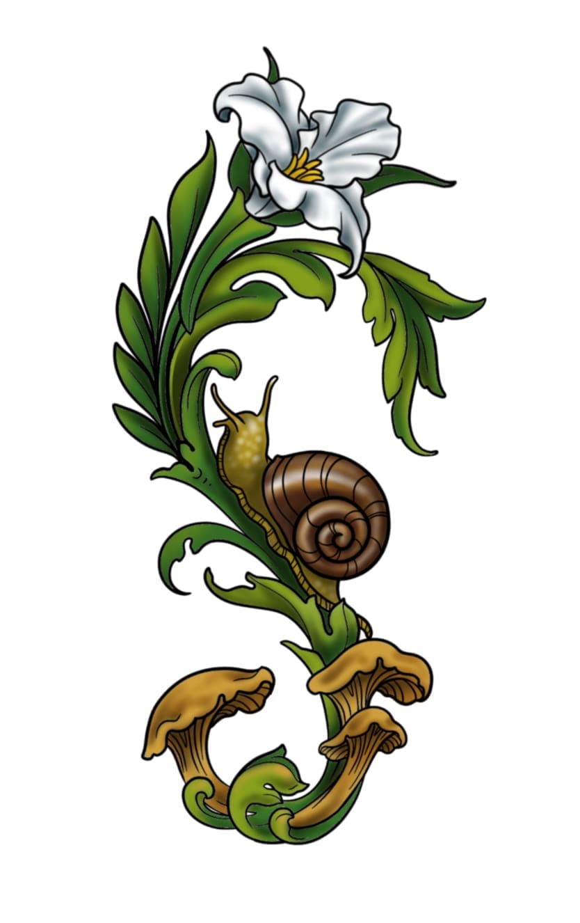 Fancy Snail
