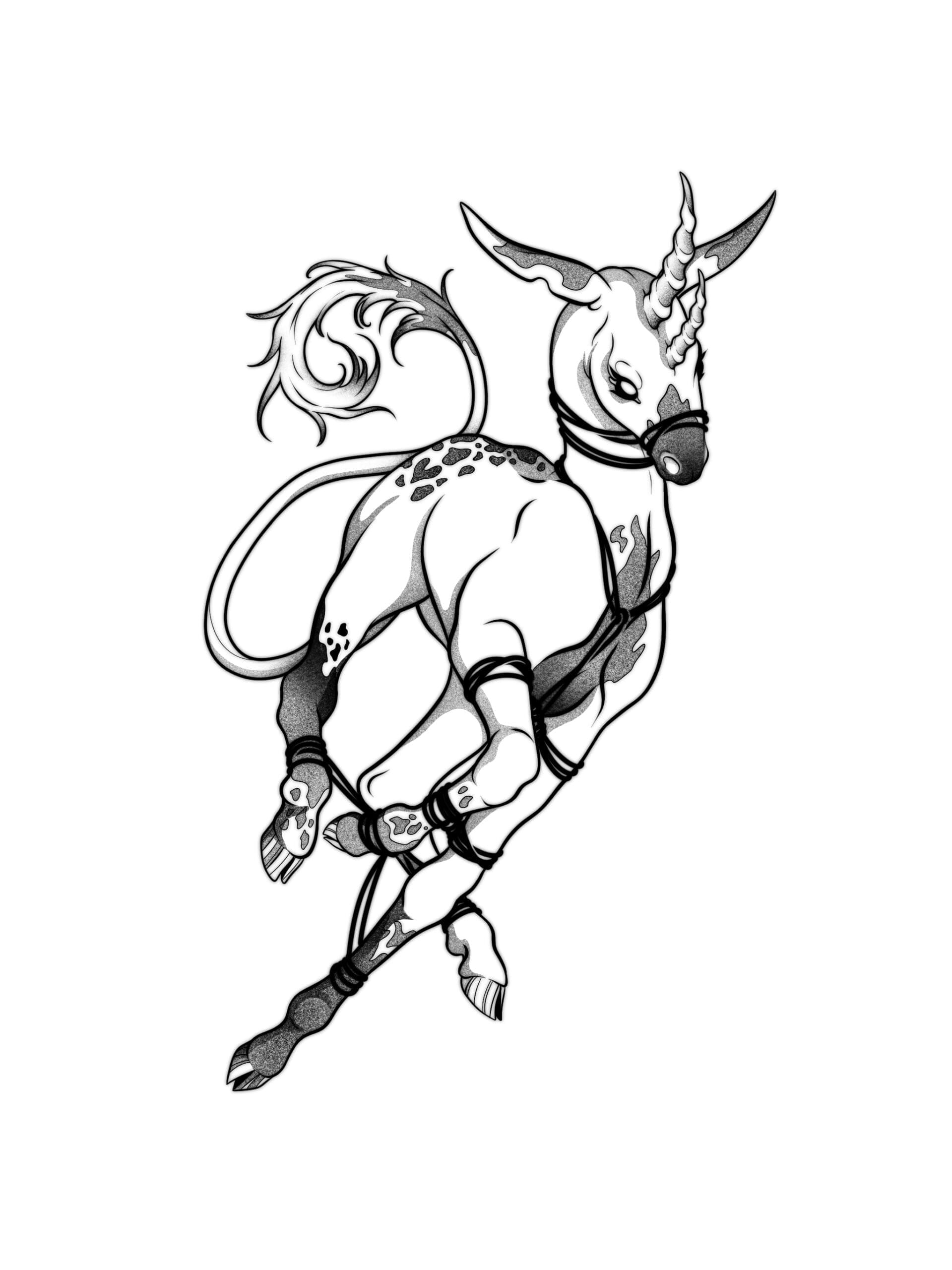 Shibari Unicorn