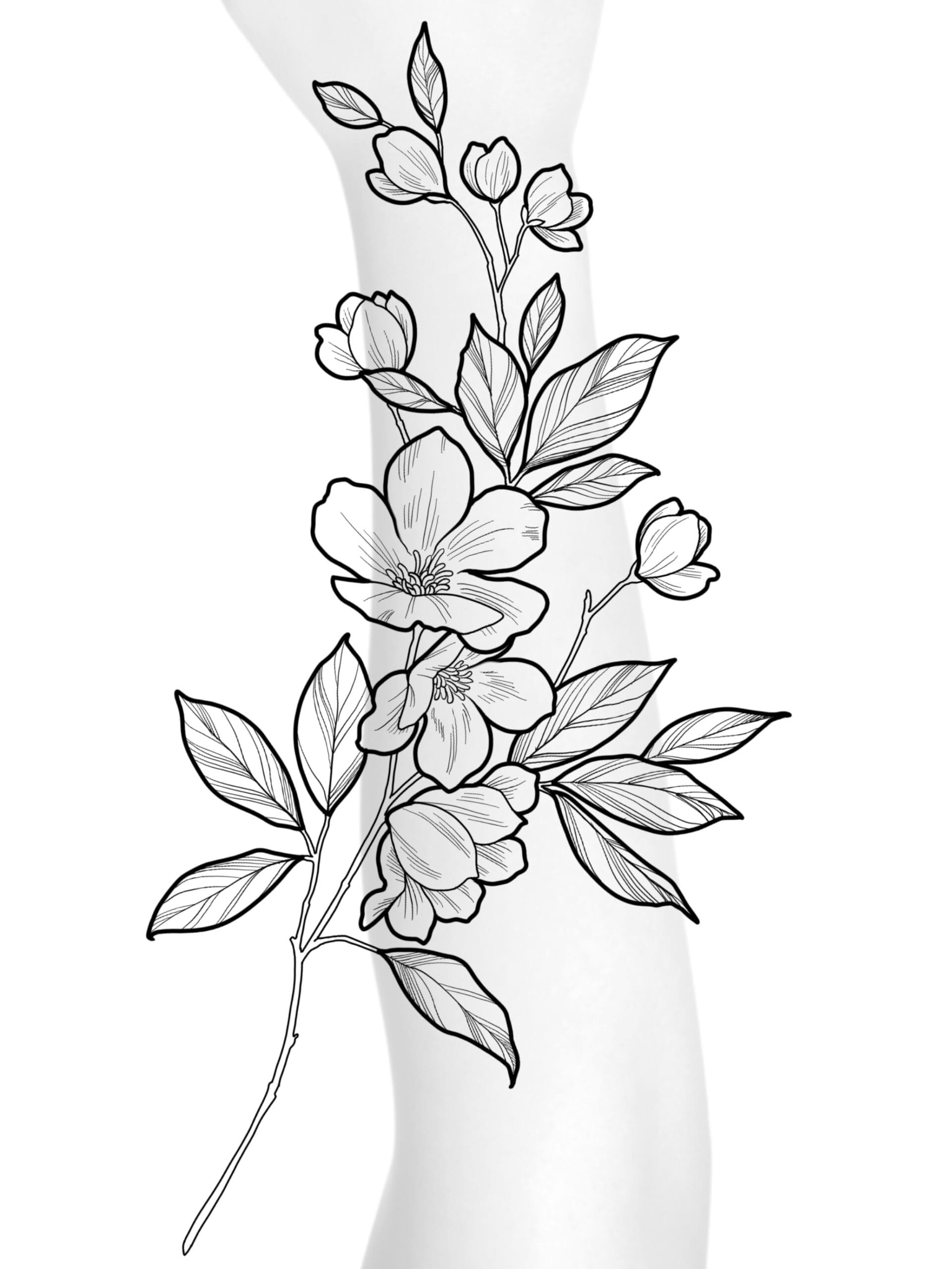 Climbing Branch flash tattoo design by Anna Clarke at Anatomy Tattoo in Portland, Oregon