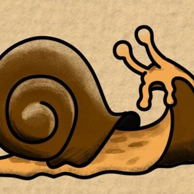 Simple Snail Looking Back